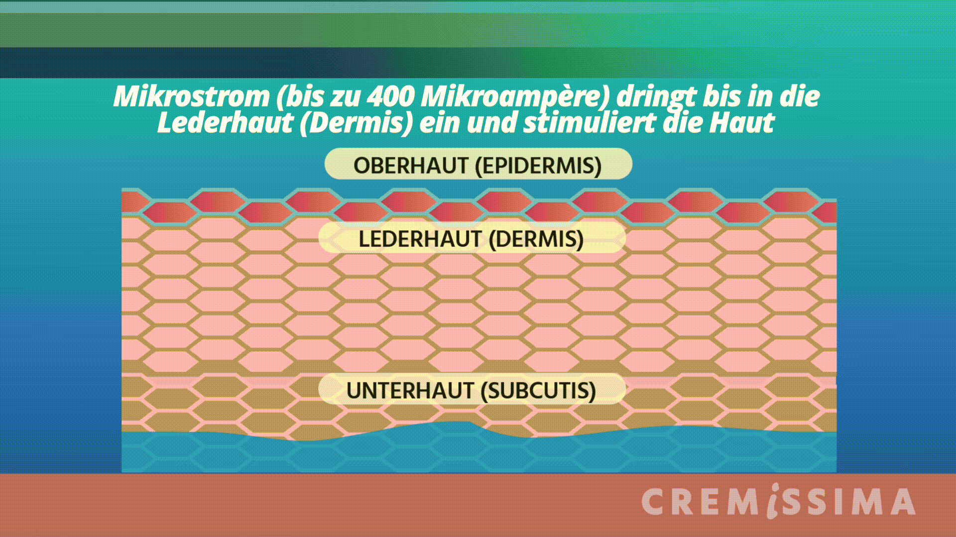 Mikrostrom-Gesichtsbehandlung für zuhause: So wirkt Mikrostrom 